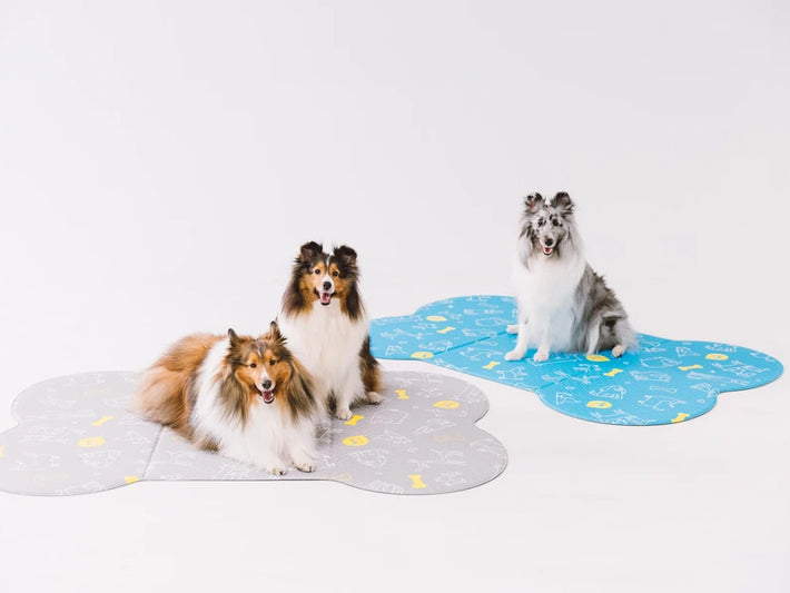 Playmat USA - Official Site – playmatusa.com